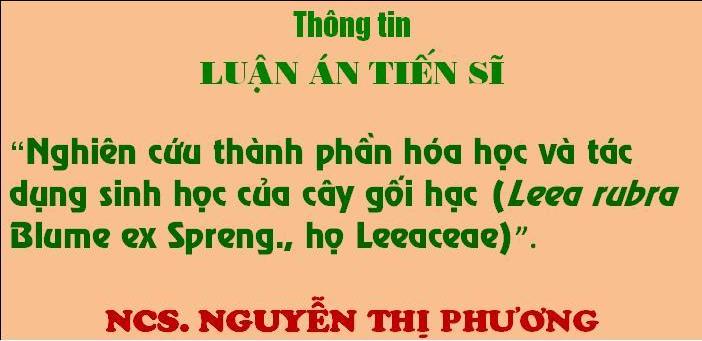 Không có ảnh